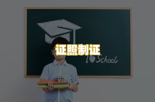 证照制证
